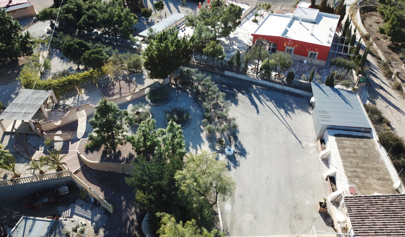 Reventa - Finca / Propiedad de Campo - Crevillente