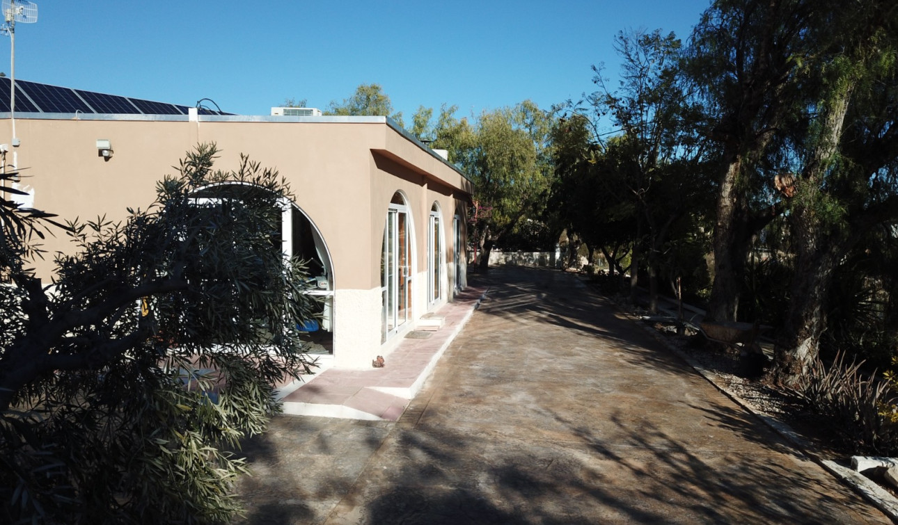 Reventa - Finca / Propiedad de Campo - Crevillente