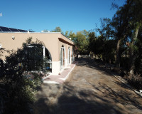 Reventa - Finca / Propiedad de Campo - Crevillente