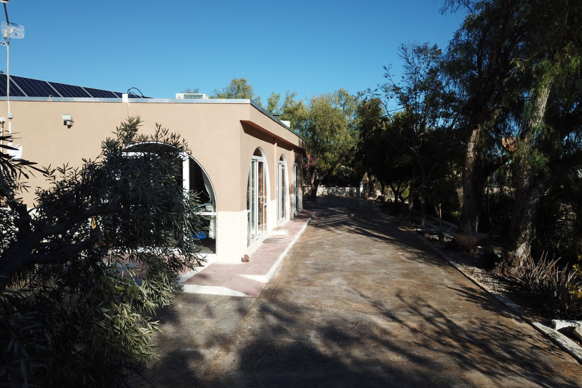 Reventa - Finca / Propiedad de Campo - Crevillente