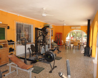 Reventa - Finca / Propiedad de Campo - Crevillente