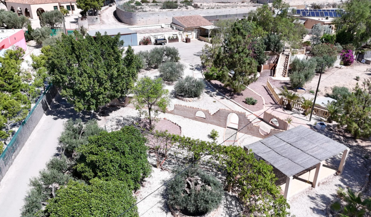 Reventa - Finca / Propiedad de Campo - Crevillente