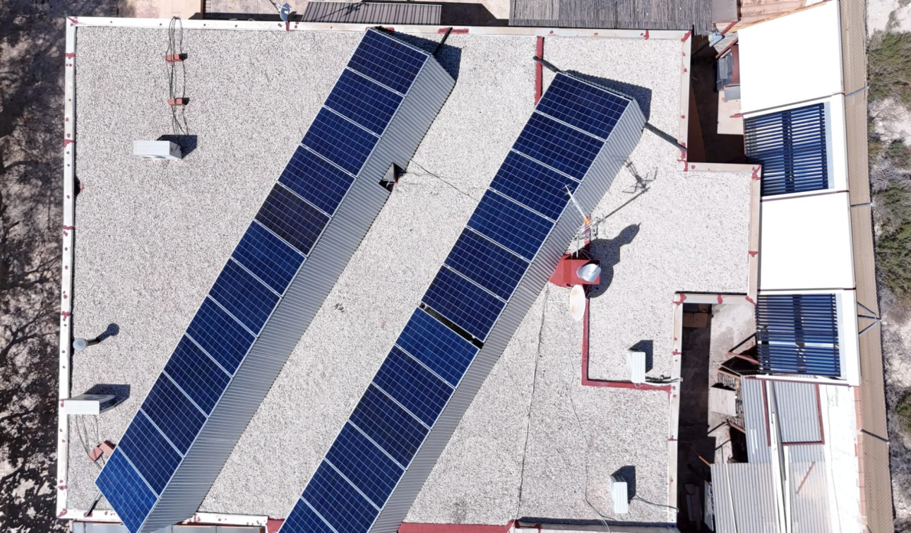 Reventa - Finca / Propiedad de Campo - Crevillente