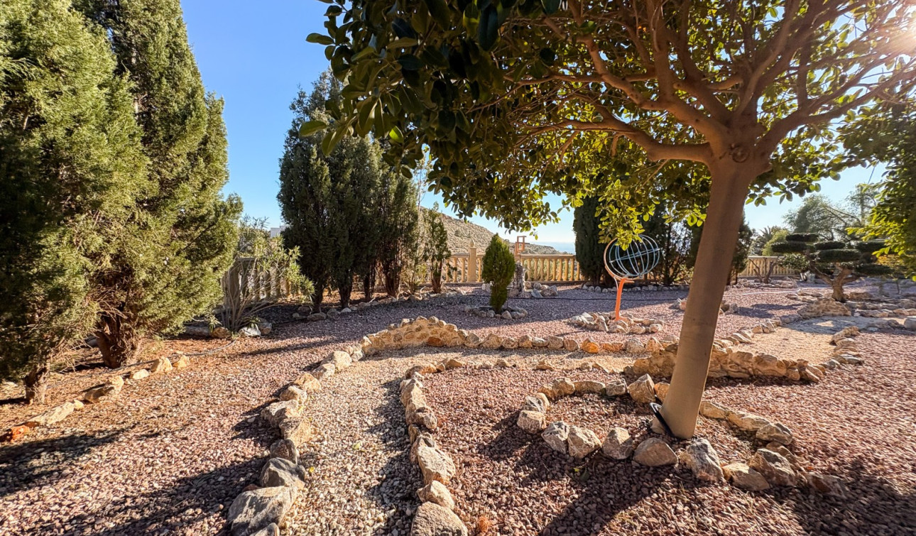 Reventa - Finca / Propiedad de Campo - Crevillente