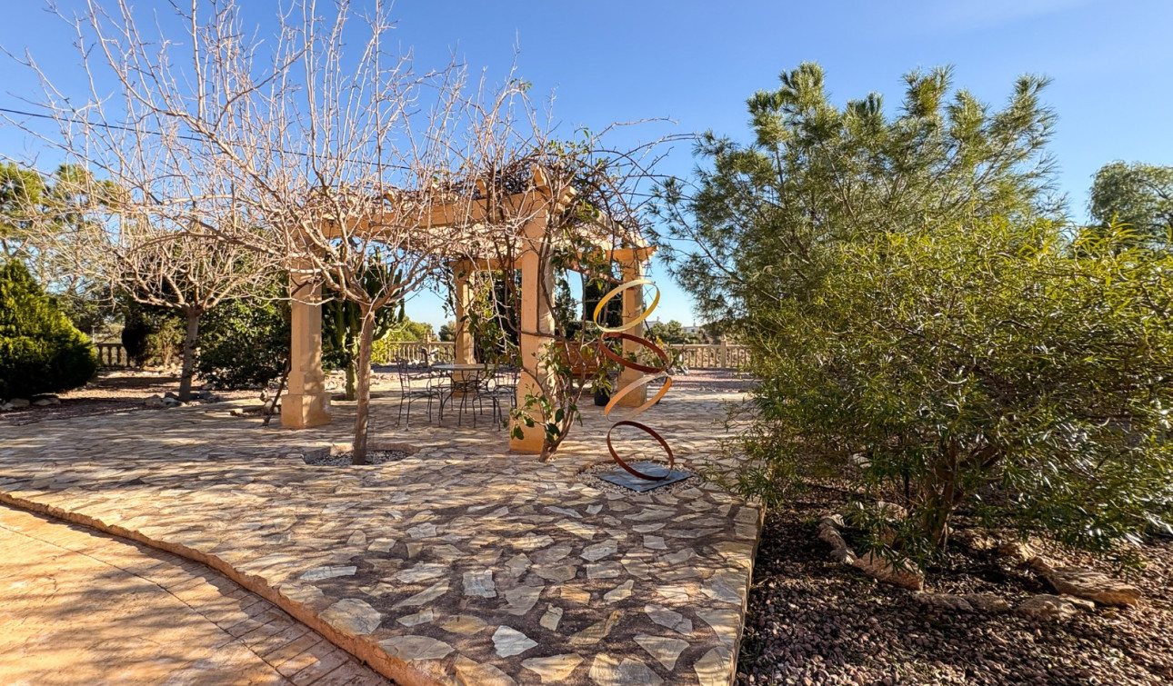 Reventa - Finca / Propiedad de Campo - Crevillente