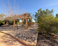 Reventa - Finca / Propiedad de Campo - Crevillente