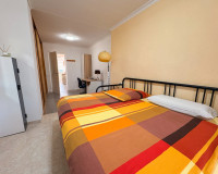 Reventa - Finca / Propiedad de Campo - Crevillente