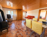 Reventa - Finca / Propiedad de Campo - Crevillente