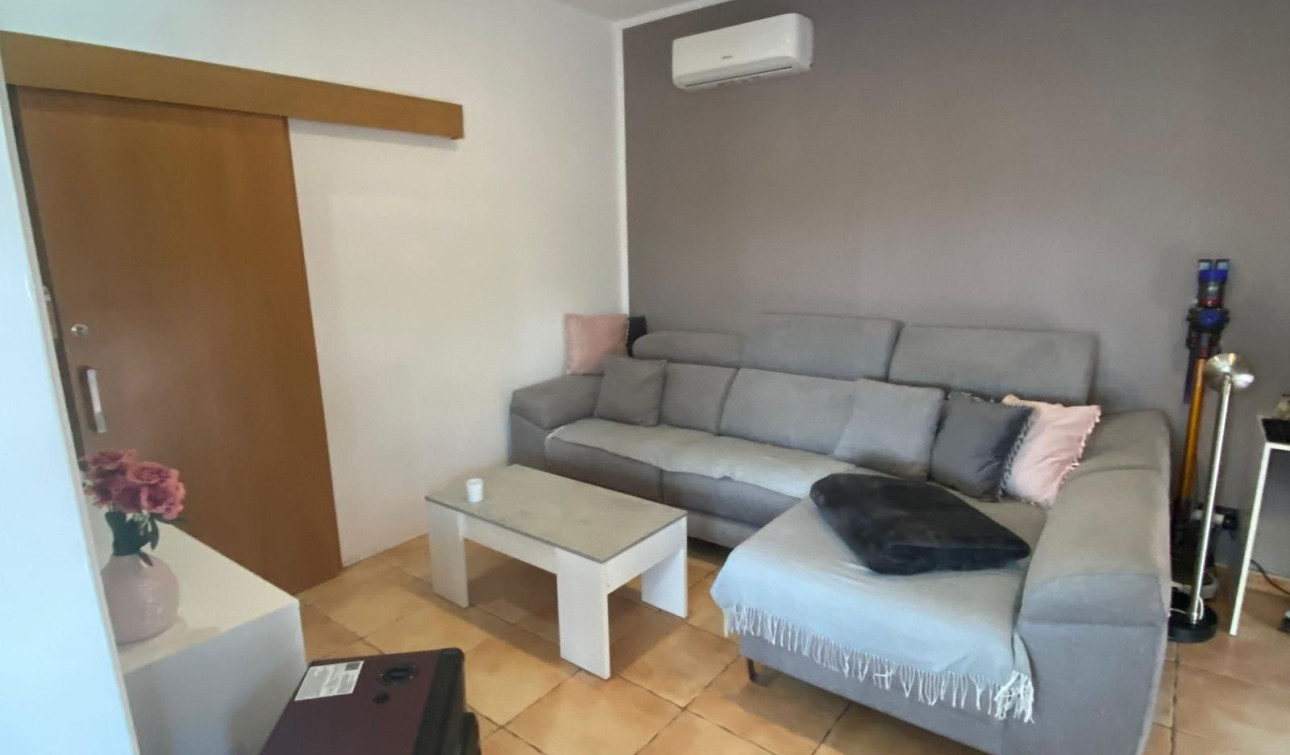 Reventa - Finca / Propiedad de Campo - Elche - Las Bayas