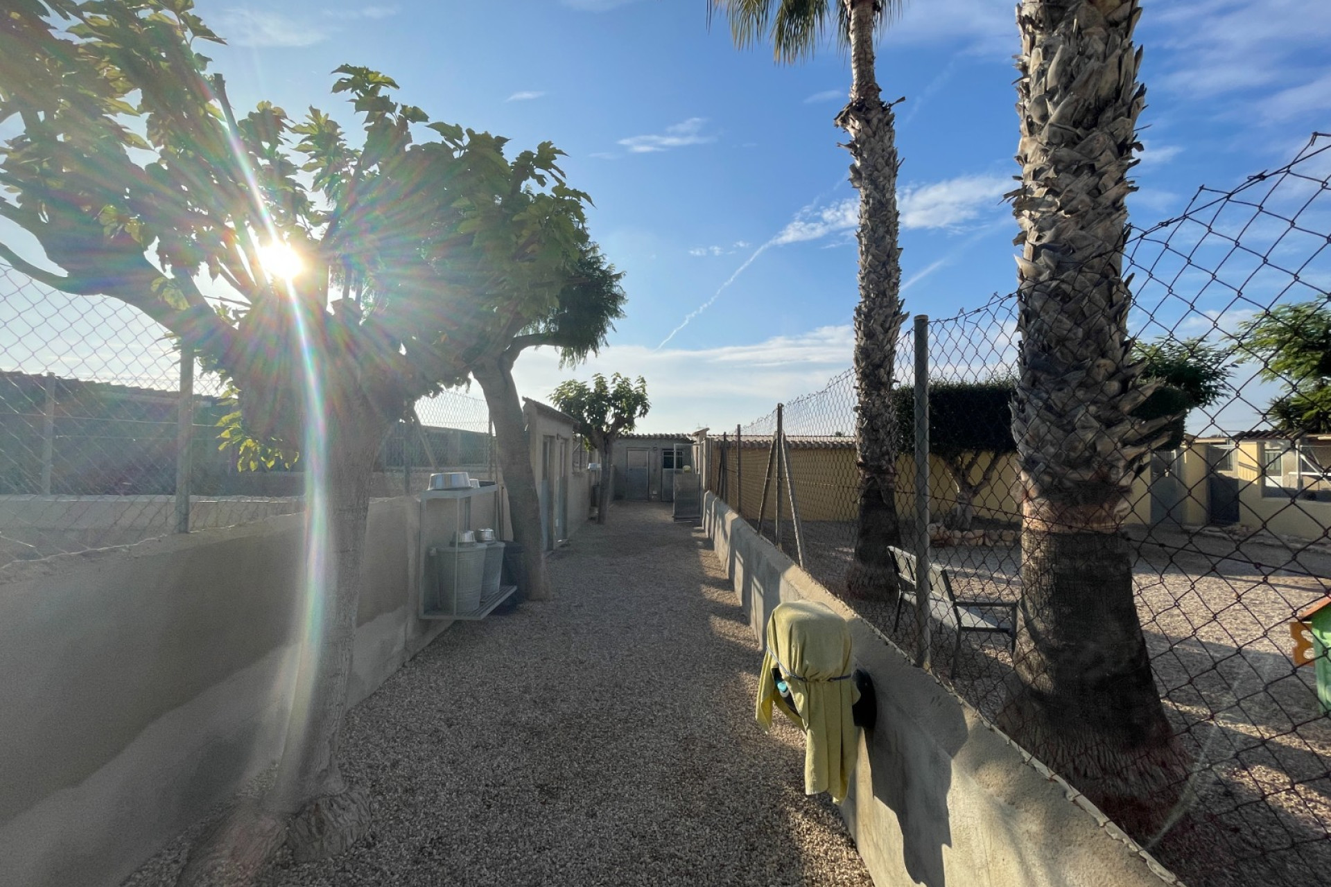 Reventa - Finca / Propiedad de Campo - Elche - Las Bayas