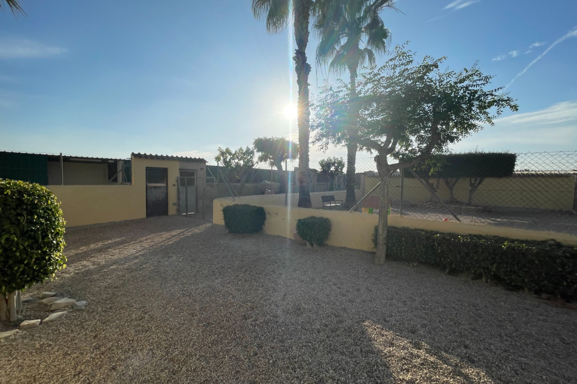 Reventa - Finca / Propiedad de Campo - Elche - Las Bayas