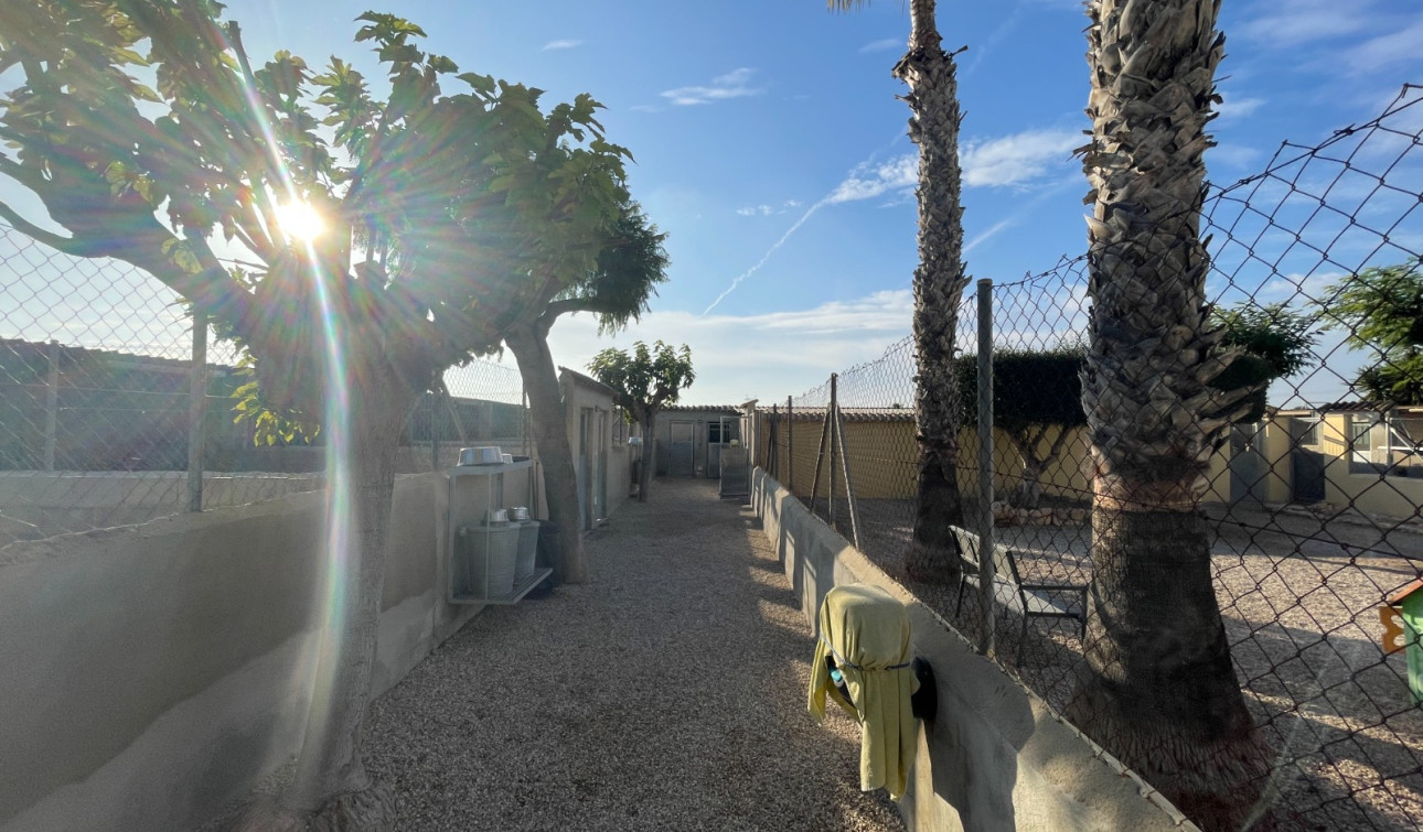 Reventa - Finca / Propiedad de Campo - Elche - Las Bayas