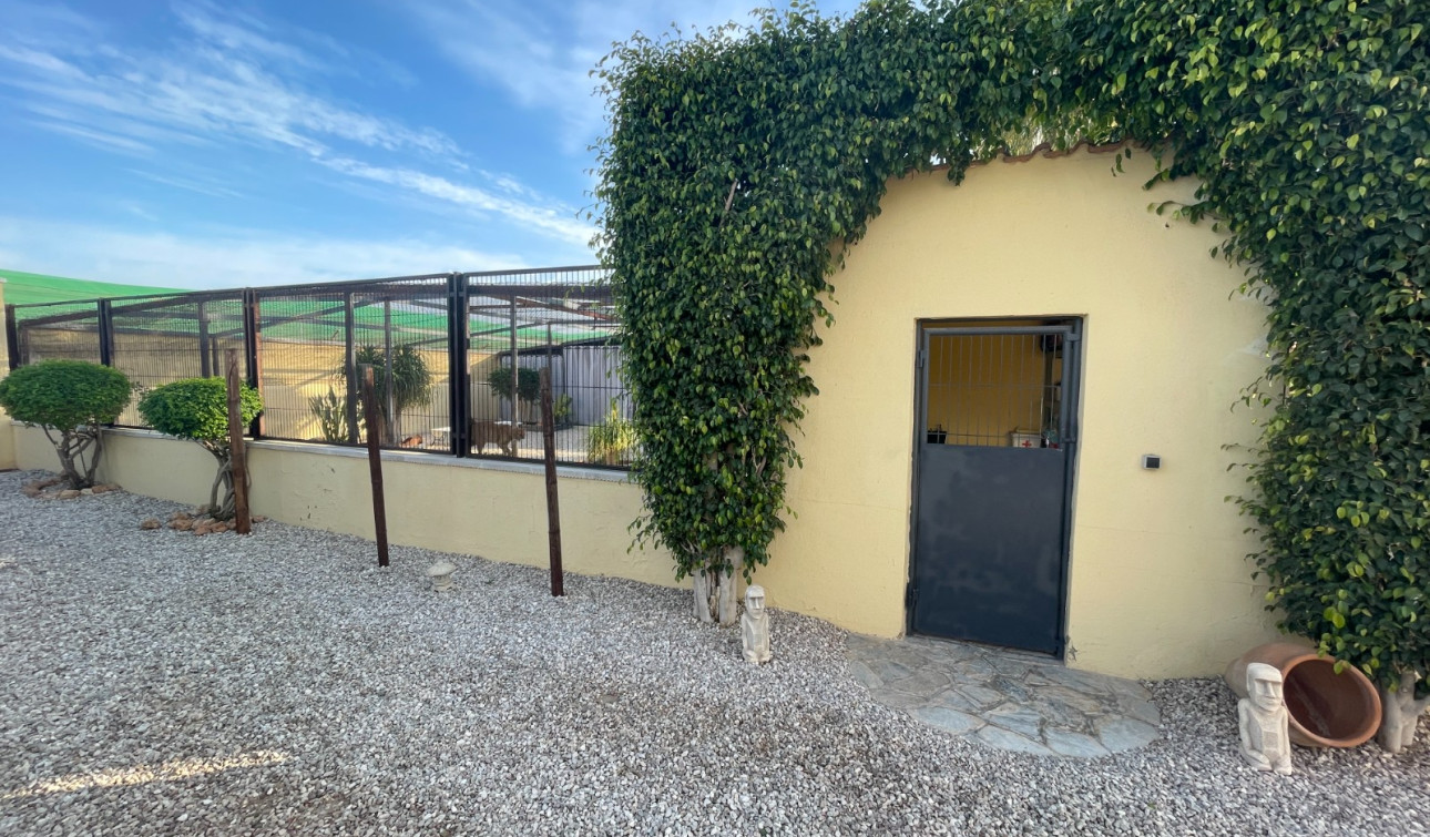 Reventa - Finca / Propiedad de Campo - Elche - Las Bayas