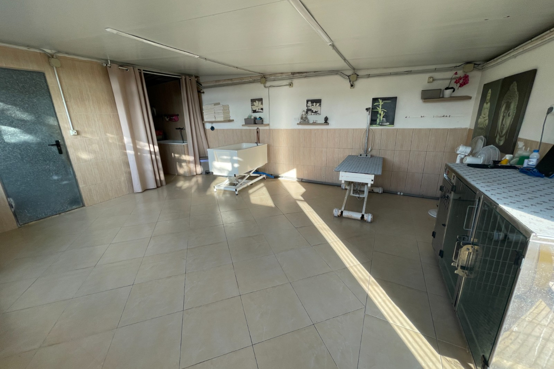 Reventa - Finca / Propiedad de Campo - Elche - Las Bayas