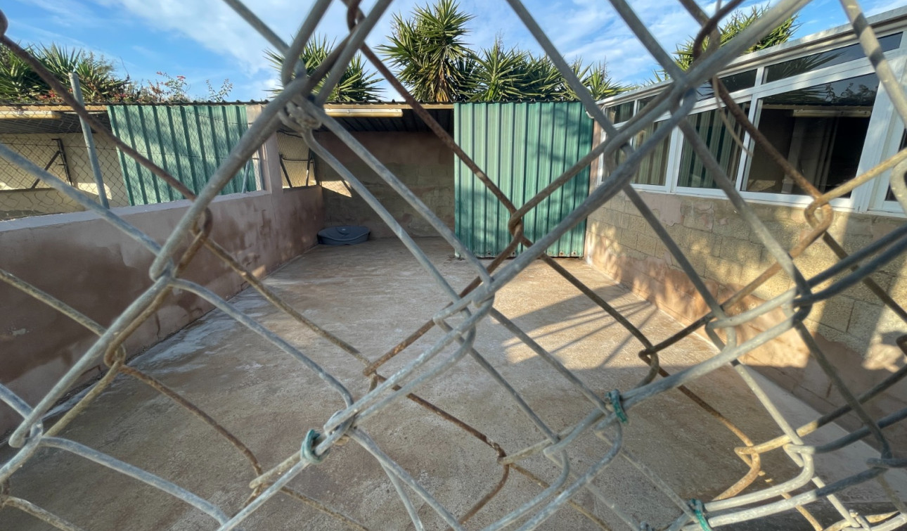 Reventa - Finca / Propiedad de Campo - Elche - Las Bayas