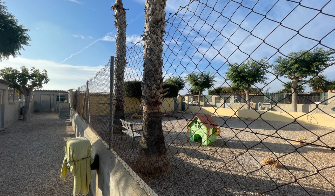 Reventa - Finca / Propiedad de Campo - Elche - Las Bayas