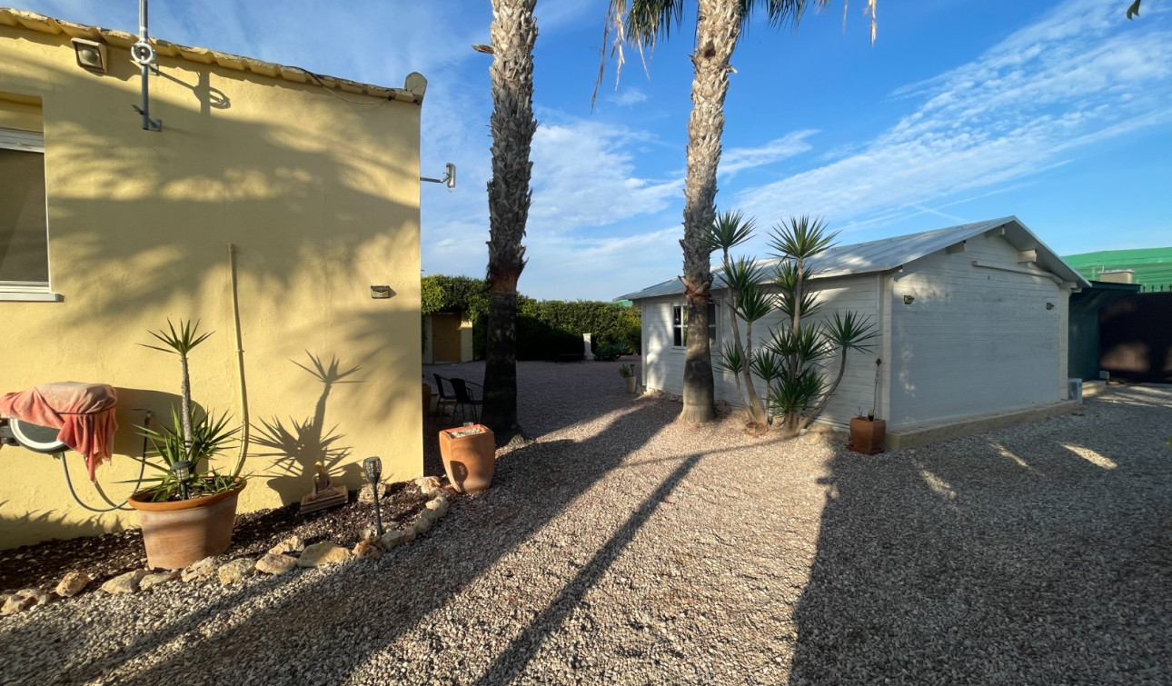 Reventa - Finca / Propiedad de Campo - Elche - Las Bayas