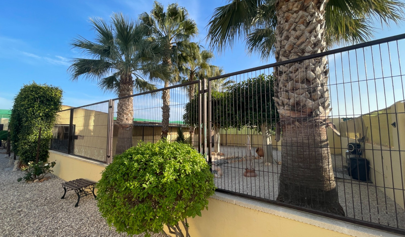 Reventa - Finca / Propiedad de Campo - Elche - Las Bayas