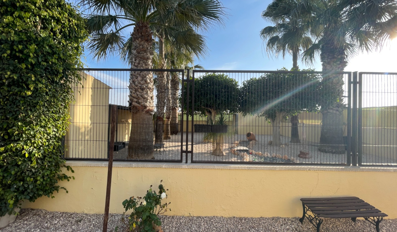 Reventa - Finca / Propiedad de Campo - Elche - Las Bayas