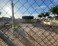 Reventa - Finca / Propiedad de Campo - Elche - Las Bayas