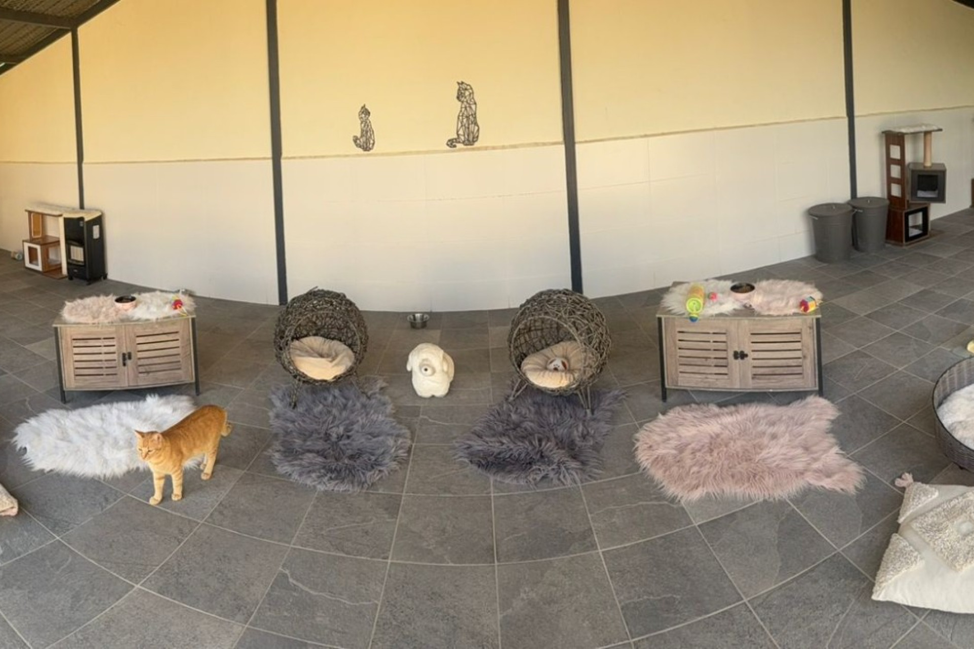 Reventa - Finca / Propiedad de Campo - Elche - Las Bayas