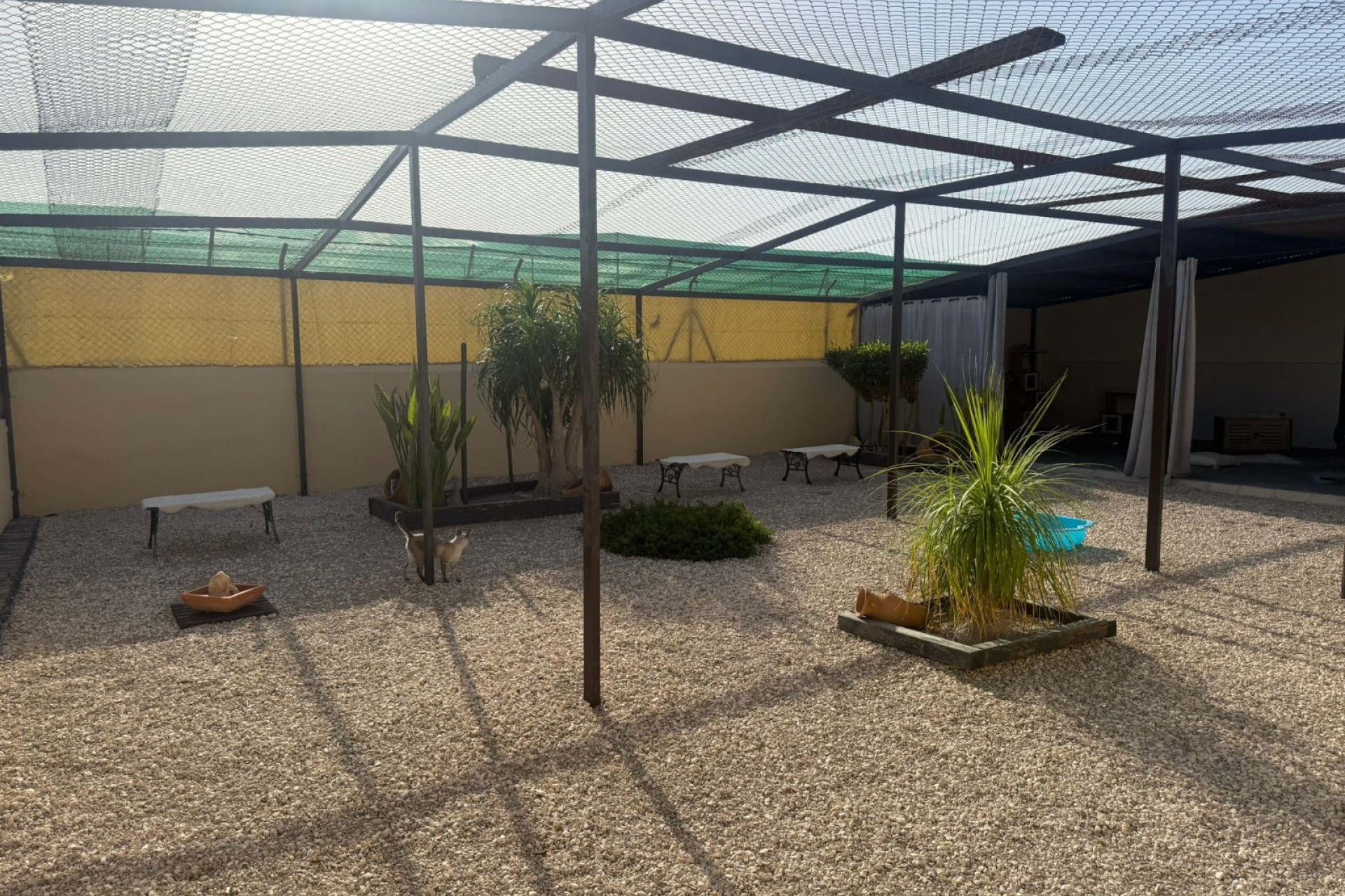 Reventa - Finca / Propiedad de Campo - Elche - Las Bayas