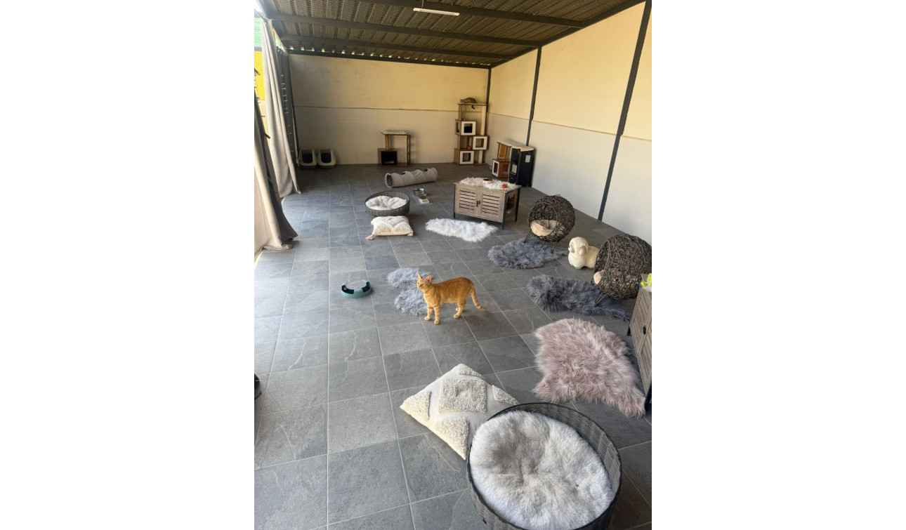 Reventa - Finca / Propiedad de Campo - Elche - Las Bayas