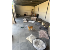 Reventa - Finca / Propiedad de Campo - Elche - Las Bayas