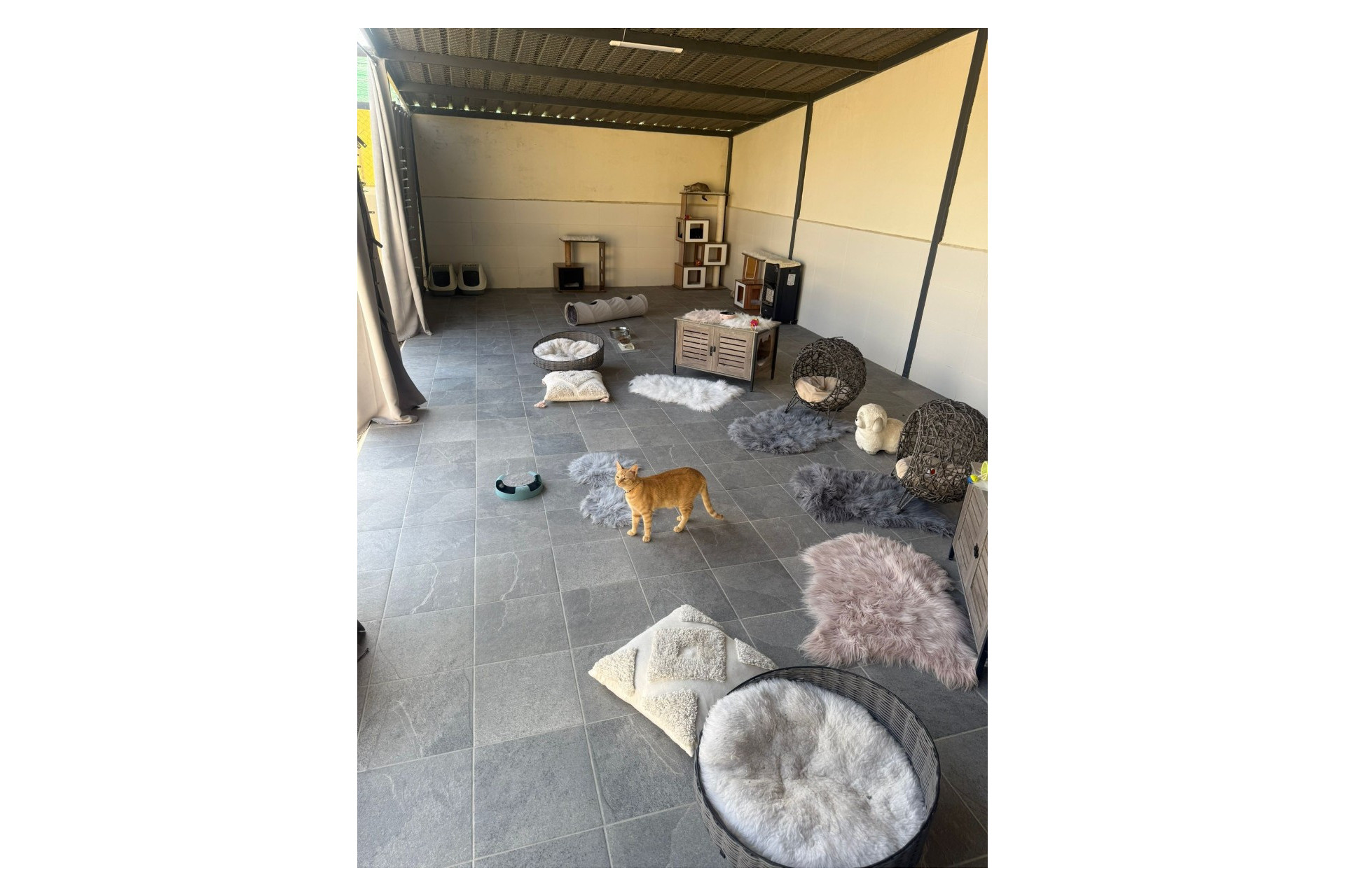 Reventa - Finca / Propiedad de Campo - Elche - Las Bayas