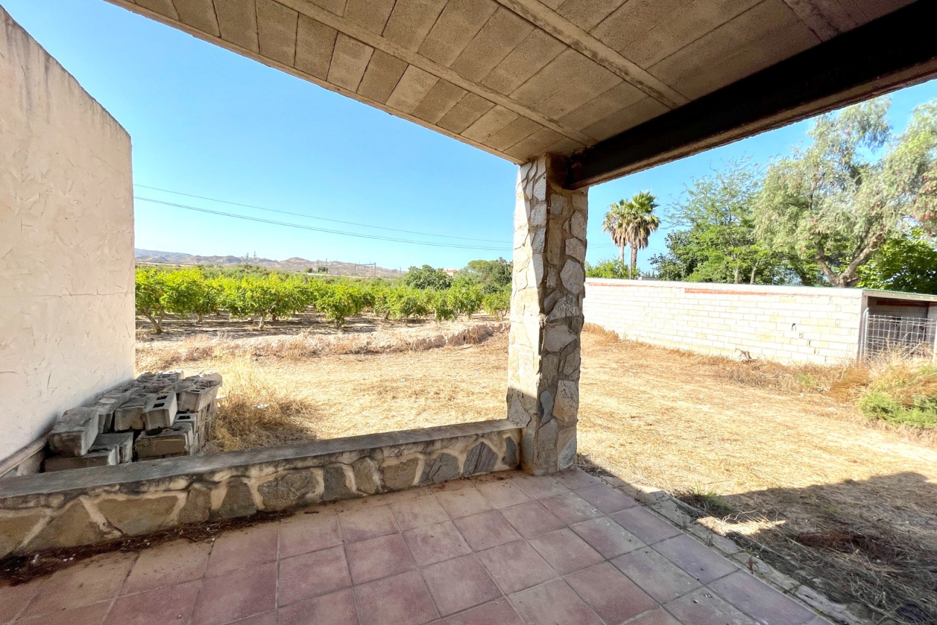 Reventa - Finca / Propiedad de Campo - Elche - Matola