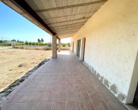 Reventa - Finca / Propiedad de Campo - Elche - Matola