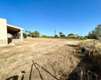 Reventa - Finca / Propiedad de Campo - Elche - Matola