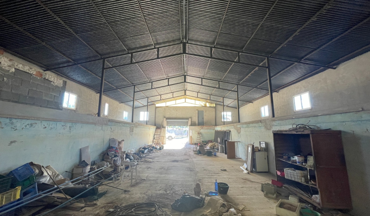 Reventa - Finca / Propiedad de Campo - Elche