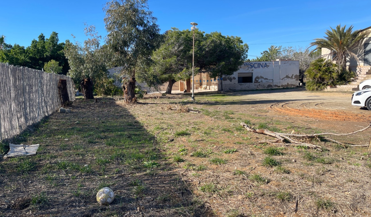 Reventa - Finca / Propiedad de Campo - Elche