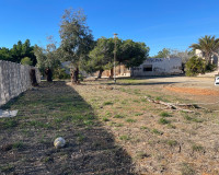 Reventa - Finca / Propiedad de Campo - Elche