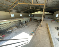 Reventa - Finca / Propiedad de Campo - Elche