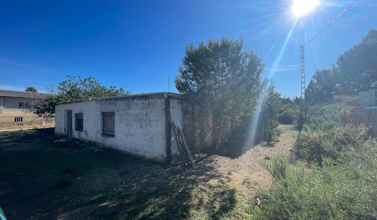 Reventa - Finca / Propiedad de Campo - Elche