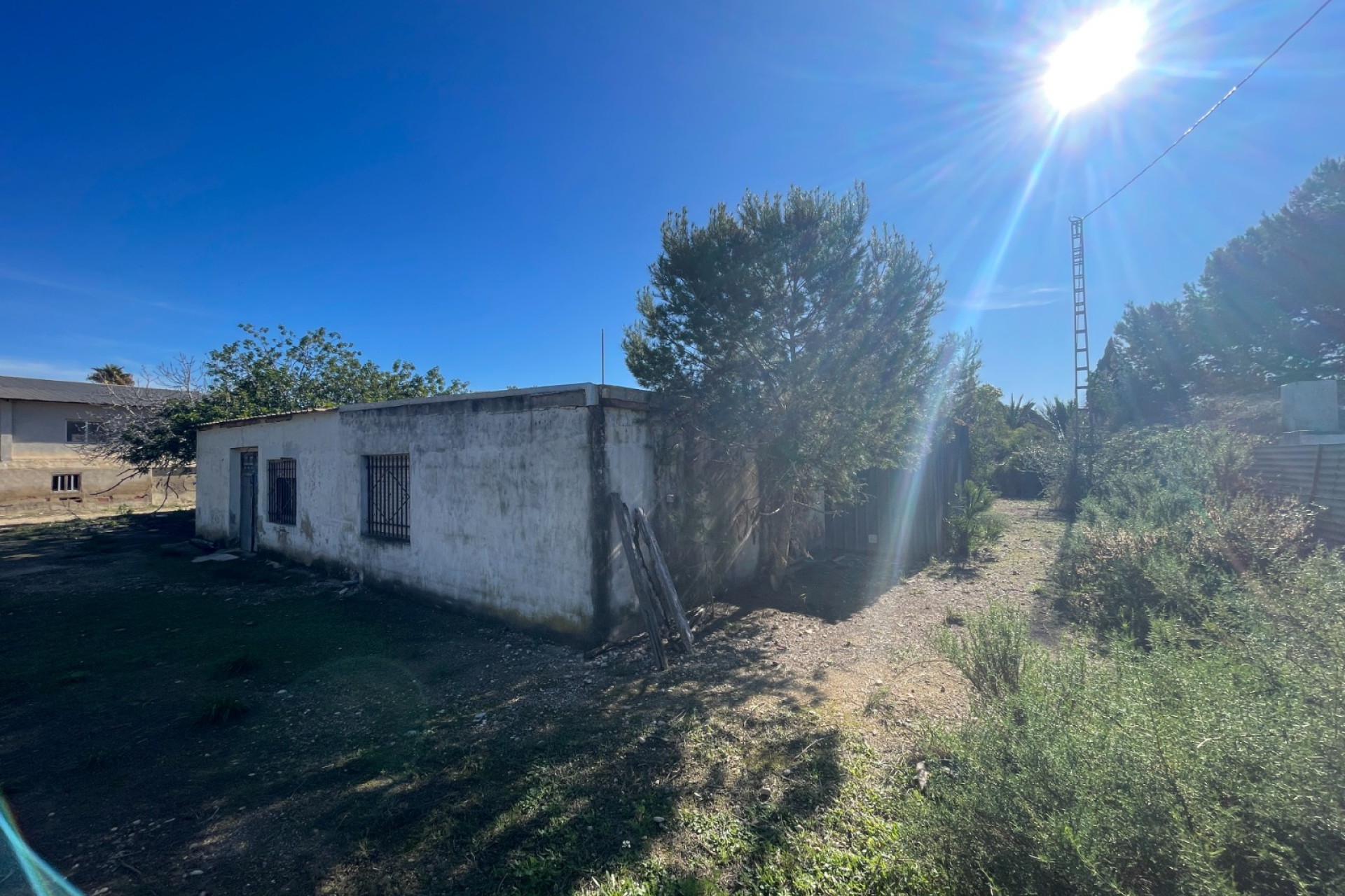 Reventa - Finca / Propiedad de Campo - Elche