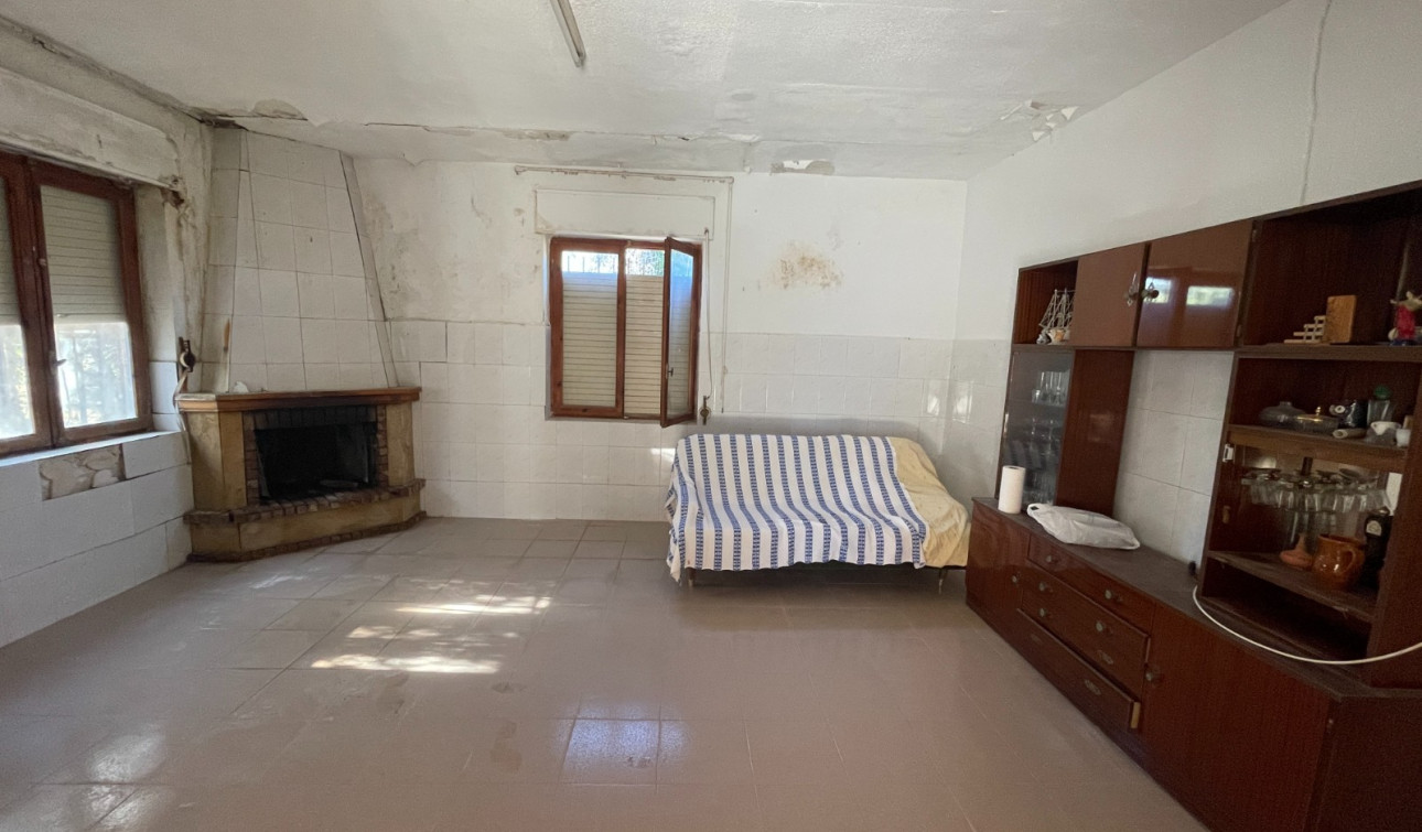 Reventa - Finca / Propiedad de Campo - Elche