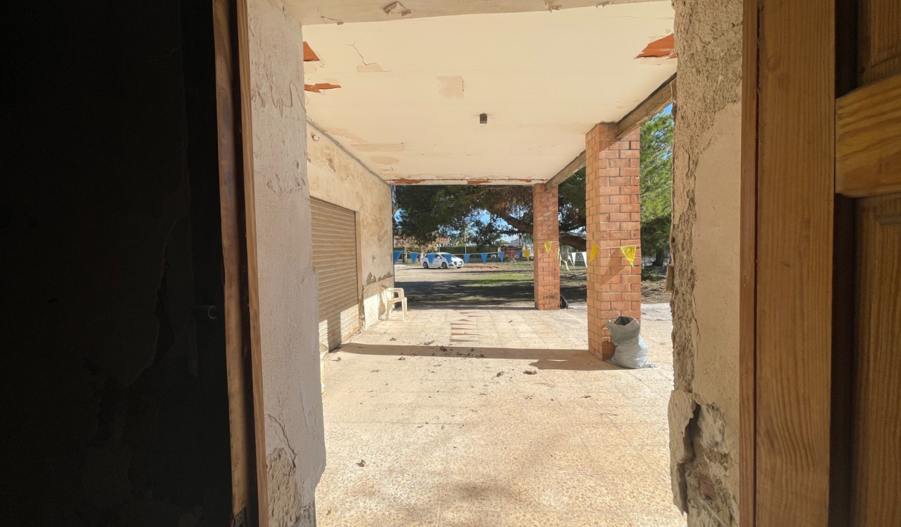 Reventa - Finca / Propiedad de Campo - Elche