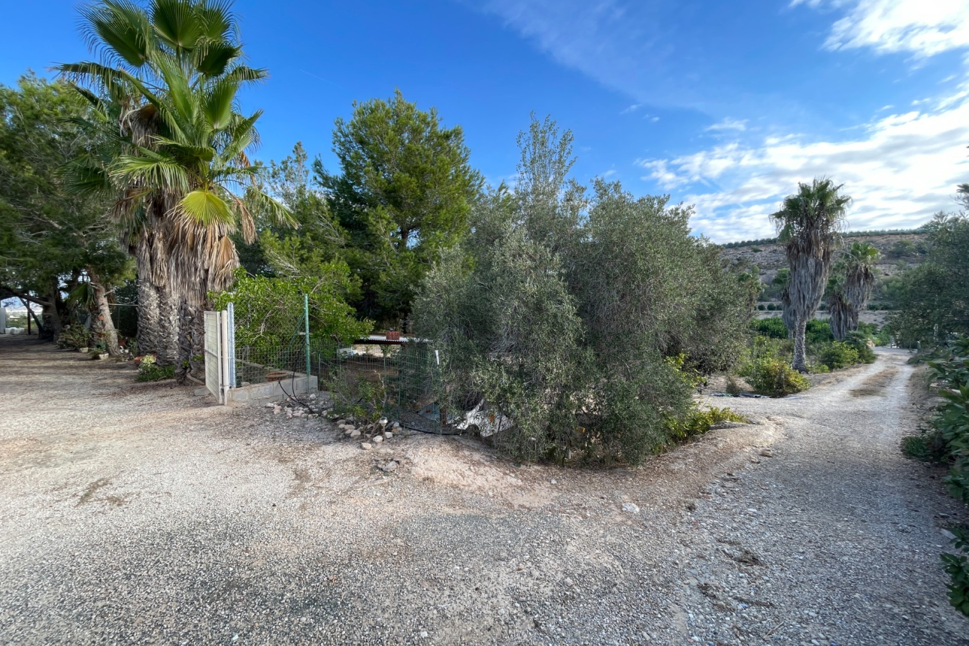 Reventa - Finca / Propiedad de Campo - Jacarilla