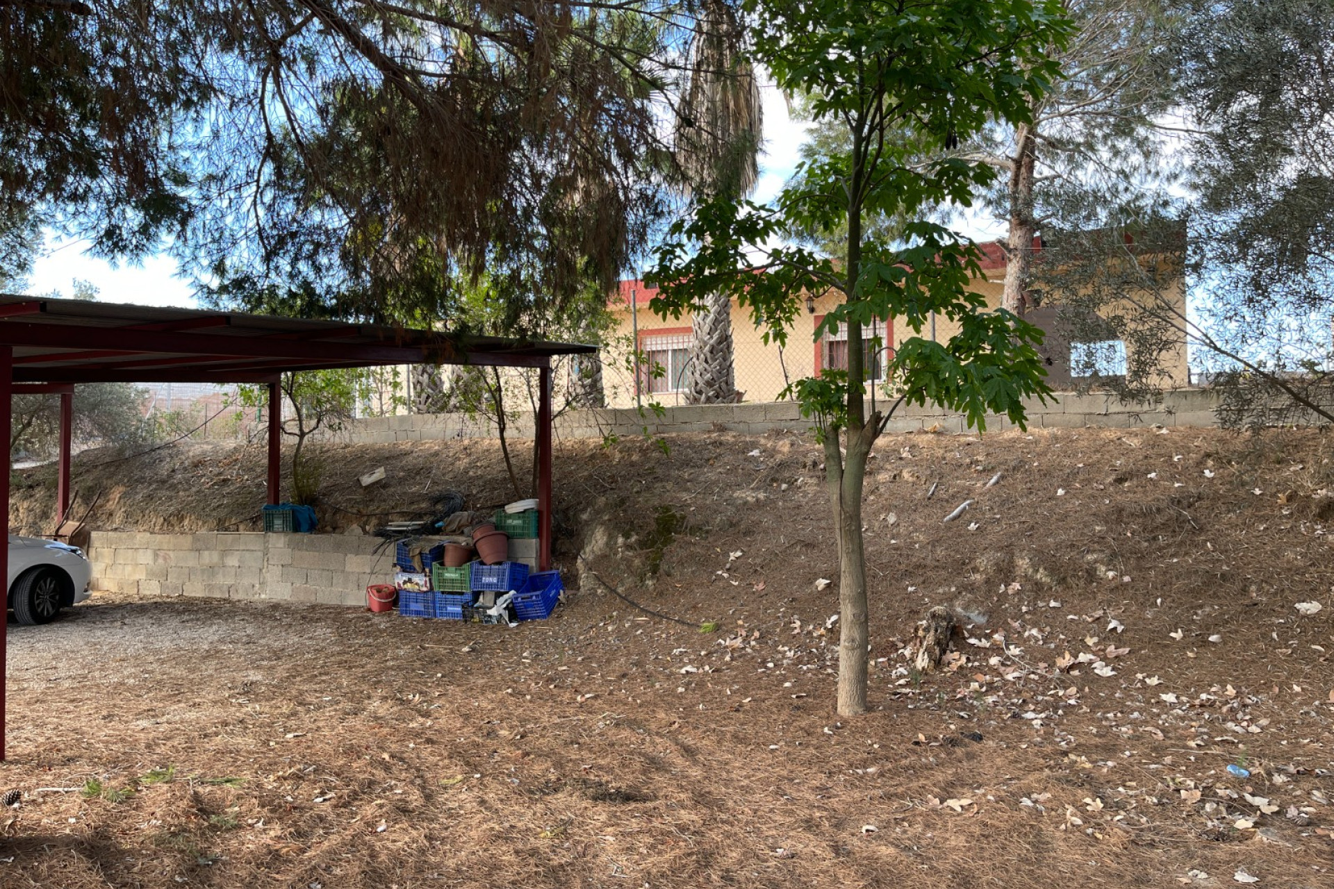 Reventa - Finca / Propiedad de Campo - Jacarilla