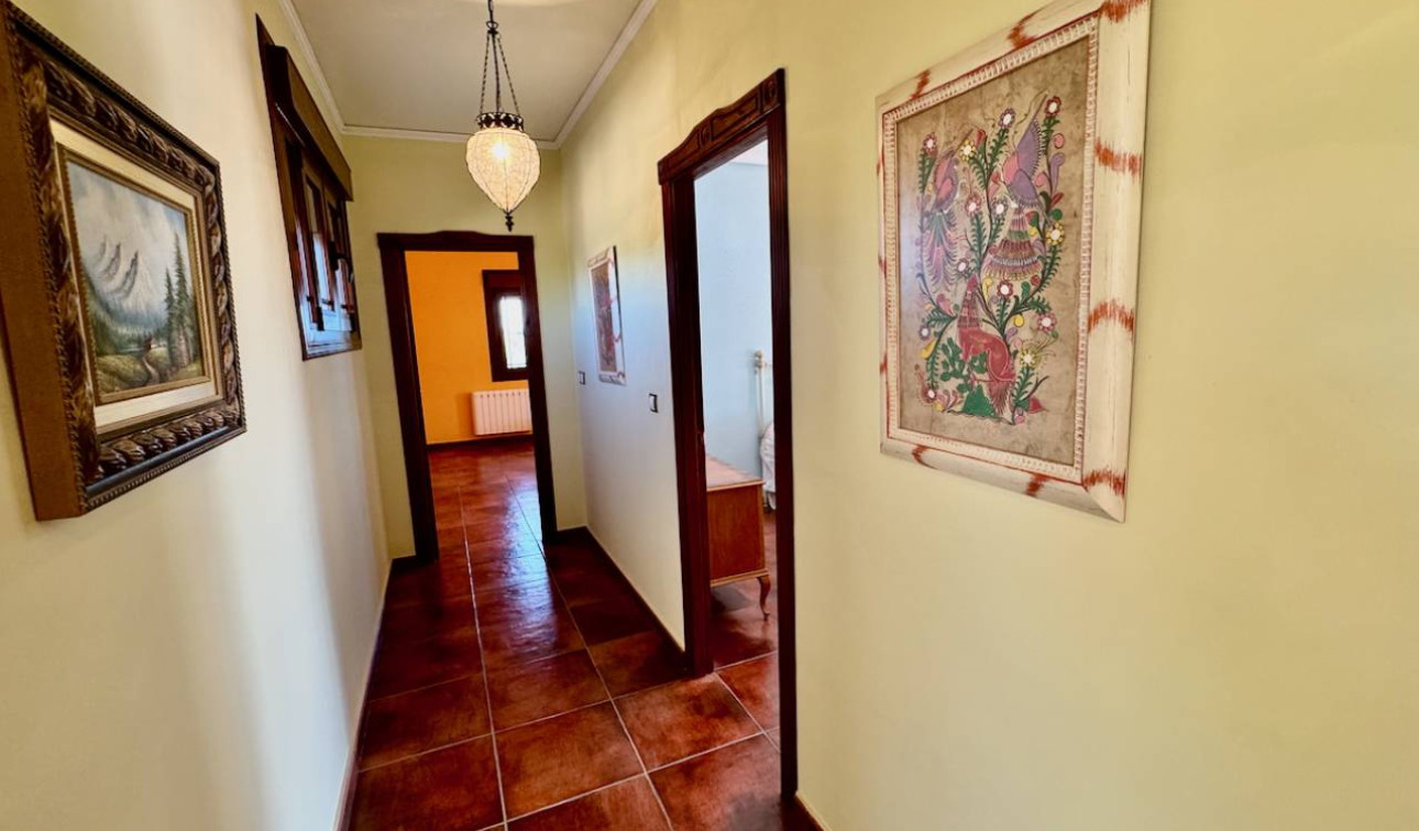 Reventa - Finca / Propiedad de Campo - Los Montesinos