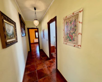 Reventa - Finca / Propiedad de Campo - Los Montesinos