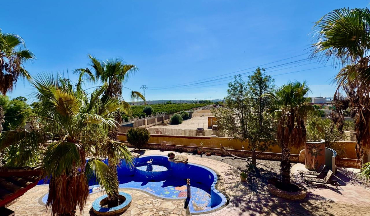 Reventa - Finca / Propiedad de Campo - Los Montesinos