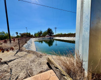 Reventa - Finca / Propiedad de Campo - Los Montesinos