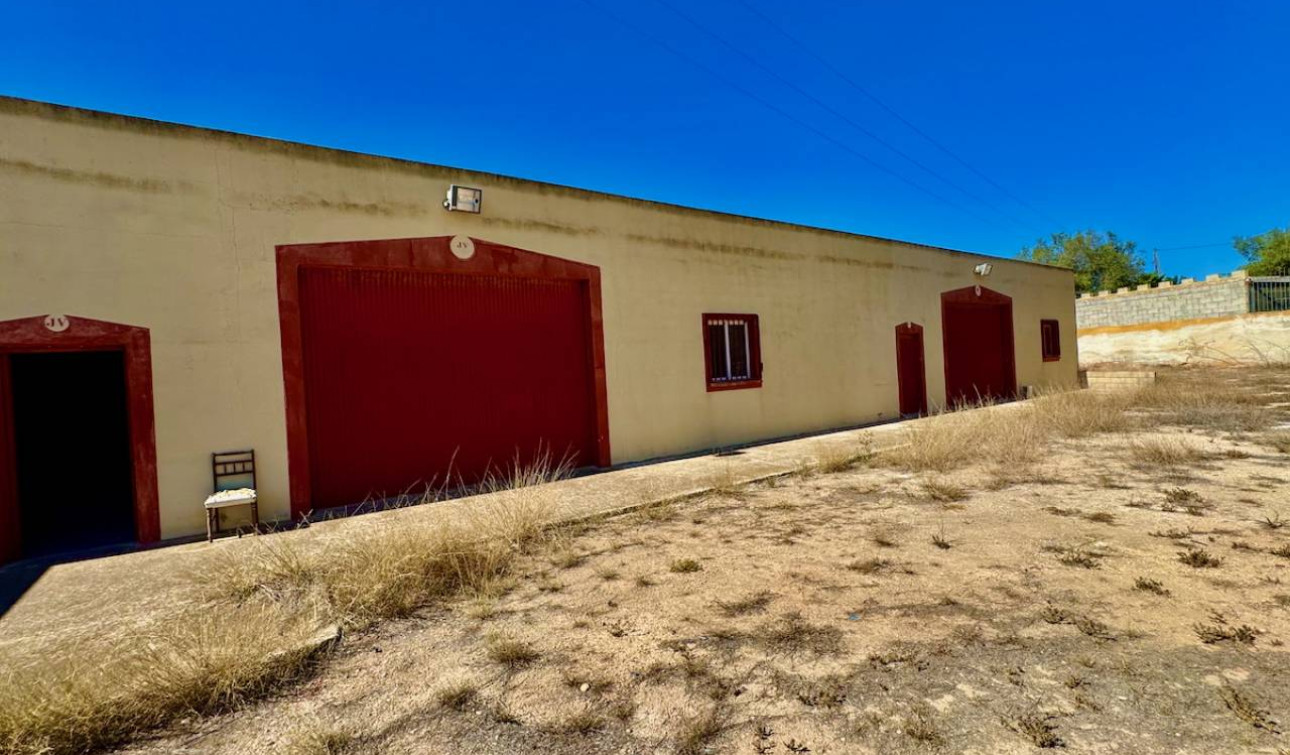 Reventa - Finca / Propiedad de Campo - Los Montesinos