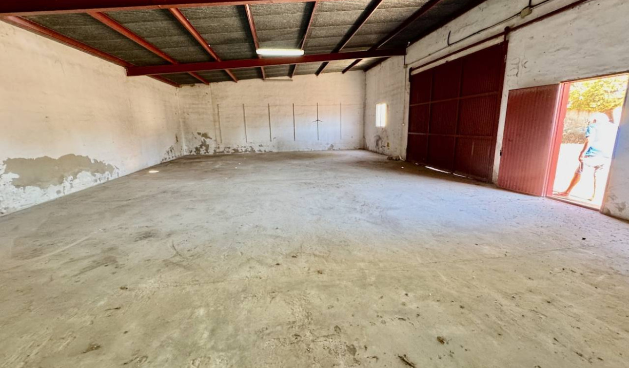 Reventa - Finca / Propiedad de Campo - Los Montesinos