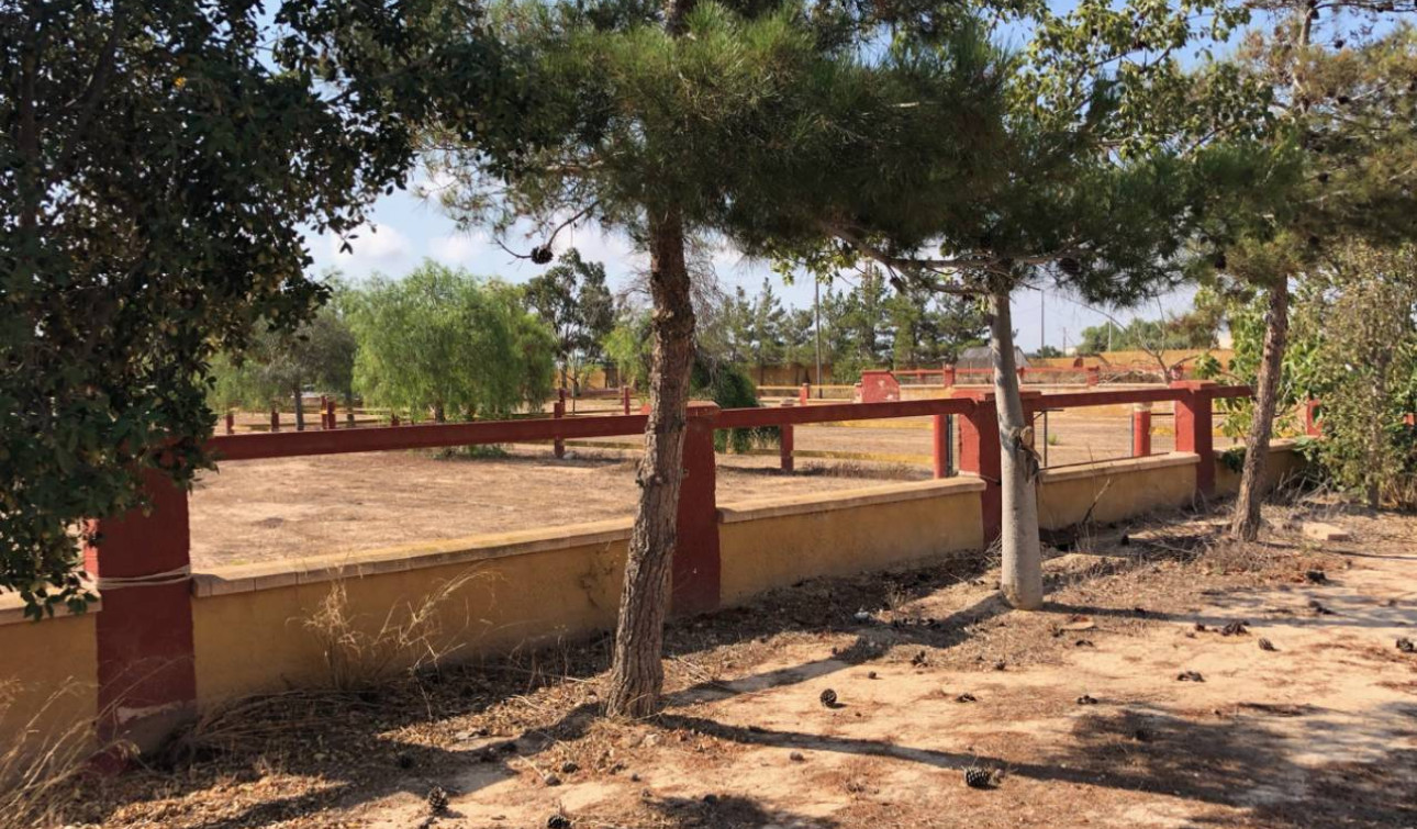 Reventa - Finca / Propiedad de Campo - Los Montesinos
