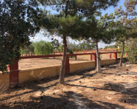 Reventa - Finca / Propiedad de Campo - Los Montesinos